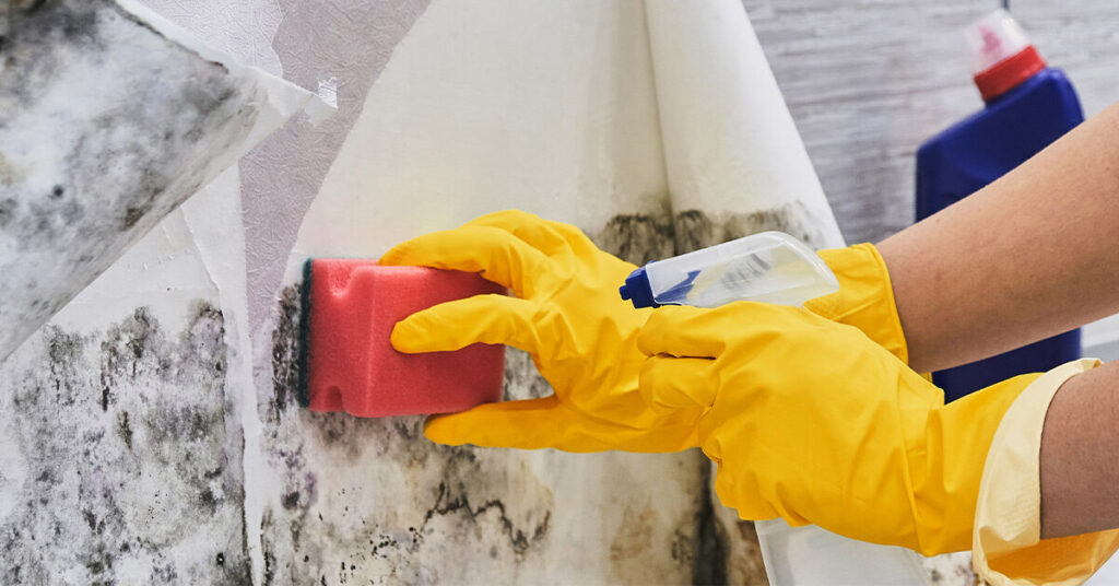 Mould