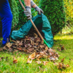 How to Revive a Lawn After Winter